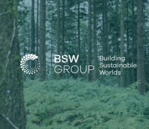 a forest image with a BSW white logo overlay 